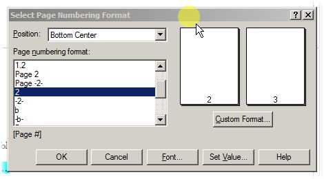 The page numbering format dialog box